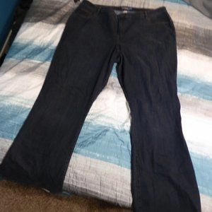 Venezia (Lane Bryant) jeans
